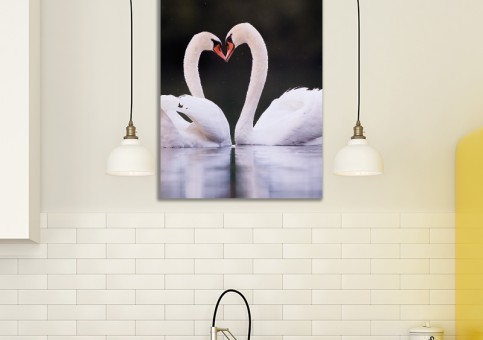 Tableaux personnalisés  Coeur de cygne