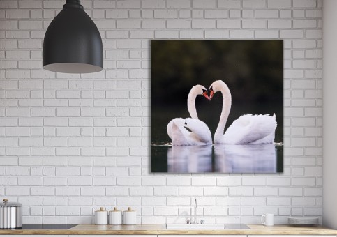 Tableaux personnalisés  Coeur de cygne