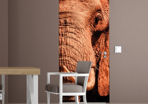 Habillage de porte Portrait éléphant 2